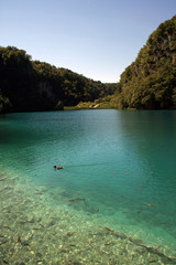 Plitvice lakes, Croatia - obrazy, fototapety, plakaty
