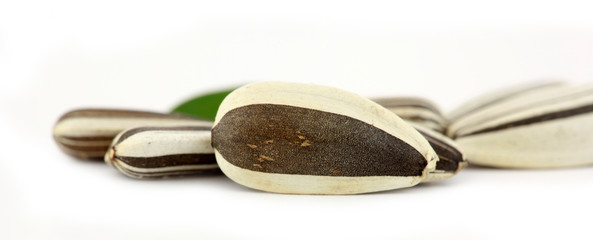 Striped sunflower seeds