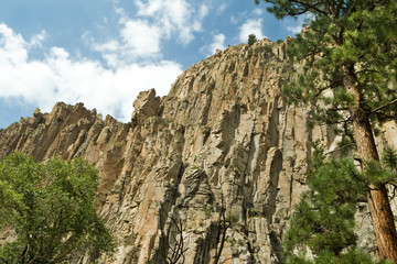 Cimarron Canyon State Park Palisade Cliff Sangre de Cristo NM