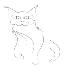 Cat freehand