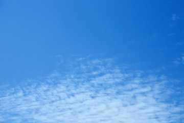 Fototapeta premium Blue sky and clouds