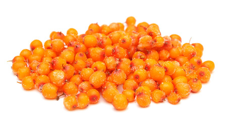 frozen sea buckthorn