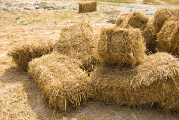 Straw on the ground