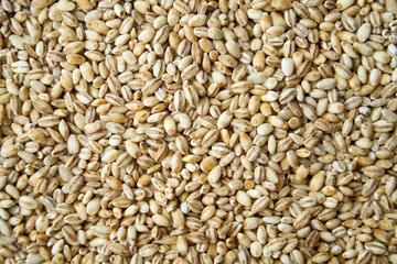 Pearl Barley