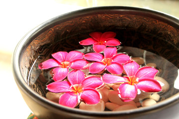 Frangipani flowers in a bowl at a spa