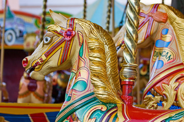 Carousel Gallopers