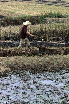 Agriculteur et charrue