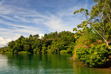 A river flowing through a rainforest