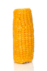 corncob