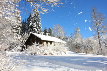 neve