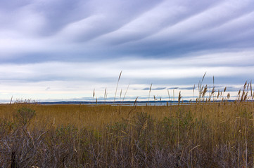 Colorful wetlands on Long Island, New York with overcast sky - 28741668
