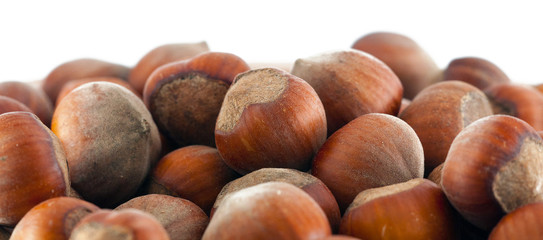 Hazelnuts