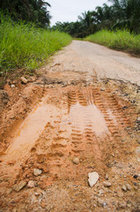 muddy road