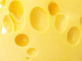 cheese