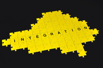 Puzzle Intergration