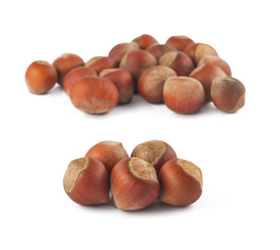Haselnuts on white background