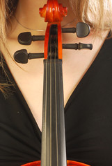Donna con violino 049