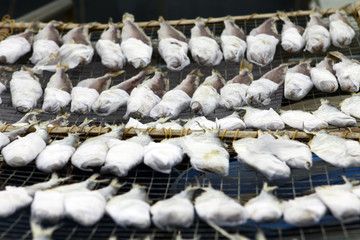 Salted fish in Cheung Chau, Hong Kong