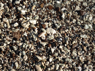 Wet rocks, pebbles, and stones on a beach on Oahu