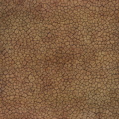 Tileable cracked soil texture - 28750621