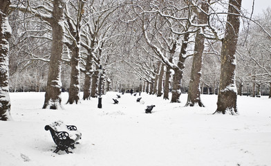 Winter in Green Park
