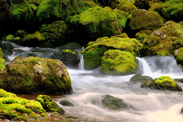 Slovenia waterfall in the morning