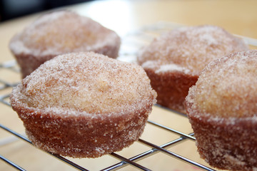 Donut Muffins