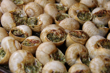 Escargots