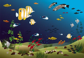 Poster Im Rahmen Ozean mit wunderschönen tropischen Fischen © Ornavi
