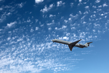 Airliner.