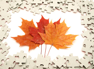Puzzle and leaves