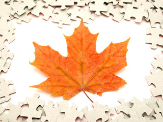 Puzzle and leaves