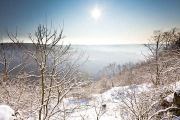 Winter scene, tree and distant hills. Landscape