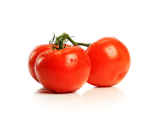 Red Tomatos