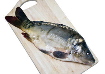 Mirror carp on a cutting board