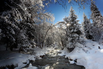 mountain river in winter time