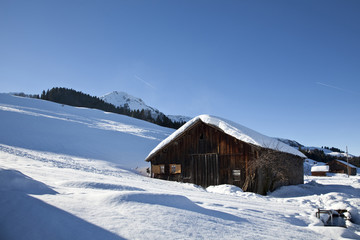 Fototapeta na wymiar Alpe w Bregenzerwald