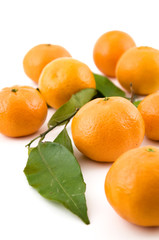 Mandarinen und Blätter