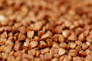 buckwheat closeup