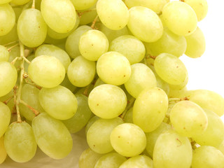 Grapes