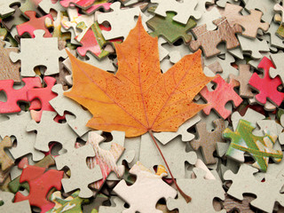 Yellow leaves against from a puzzle