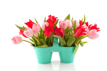 Fototapeta na wymiar Pink and red tulips