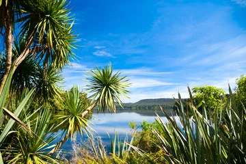 Fotobehang Nieuw-Zeeland Lake view