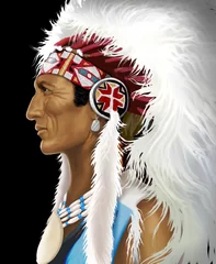 Wall murals Indians profilo indiano