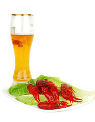 Crawfish and Beer