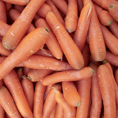 raw carrots closeup at the local market