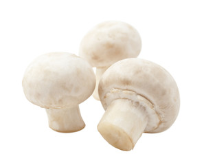 mushrooms