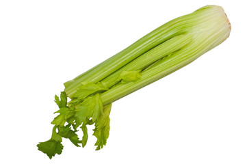 Celery stem
