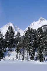 Fototapeta premium Western Sayan mountains. Ergaky. Siberia. Russia in winter time.