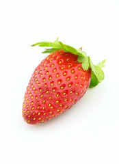 Fresh strawberry
